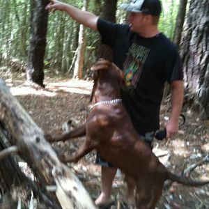 Meet your Posher, Travis